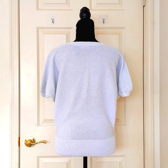 NWT. Express Cotton Blended Dropped Shoulder Short Sleeve Sparkle Sweater. - Picture 2 of 4